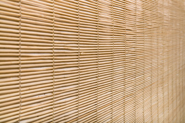 Similar image 8275392