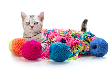 Similar image 8275423