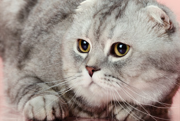 Similar image 8275437