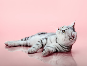 Similar image 8275438