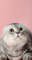 Similar image 8275439