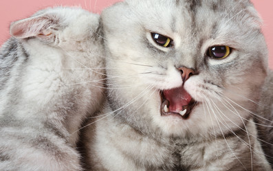 Similar image 8275440