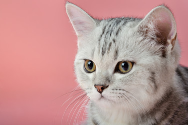 Similar image 8275442