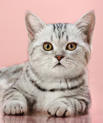 Similar image 8275468