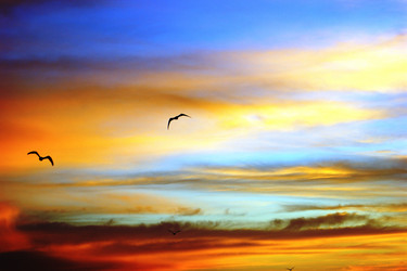 Similar image 8275476