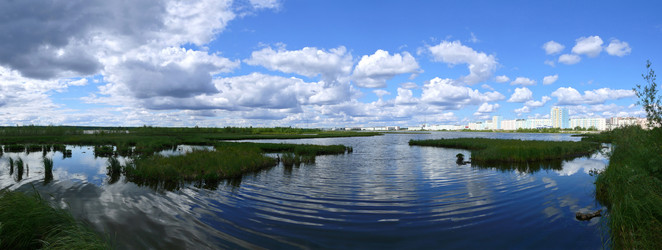 Similar image 8275481