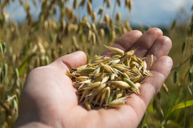 Similar image 8275484