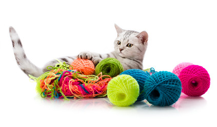 Similar image 8275488