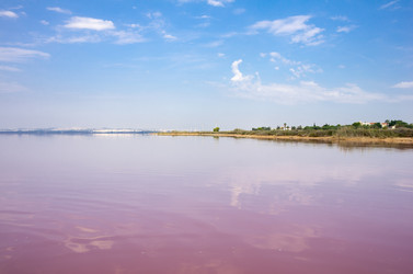 Similar image 8275495