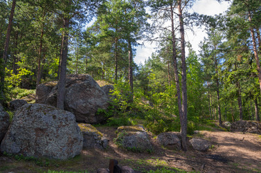 Similar image 8275502