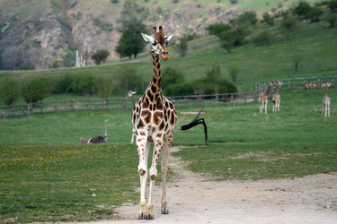 Similar image 8275555