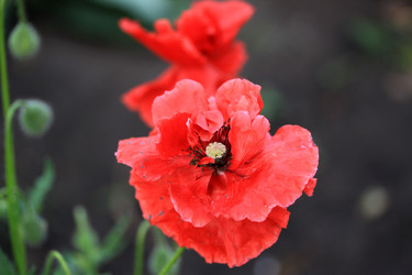 Similar image 8275558