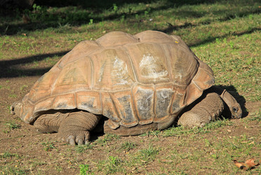 Similar image 8275559