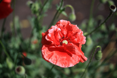 Similar image 8275564