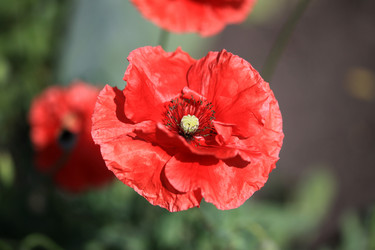 Similar image 8275565