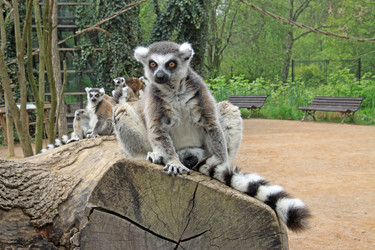 Similar image 8275582