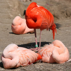 Similar image 8275585