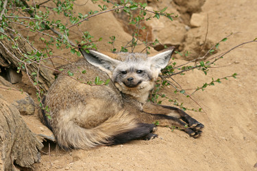 Similar image 8275589