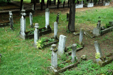 Similar image 8275653