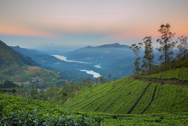 Similar image 8275709