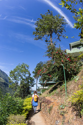 Similar image 8275716