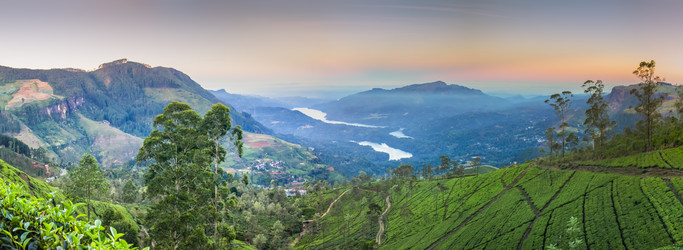 Similar image 8275721