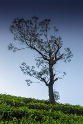 Similar image 8275722