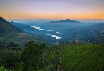 Similar image 8275724