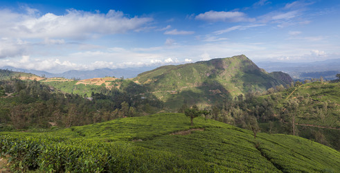 Similar image 8275733