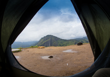 Similar image 8275751