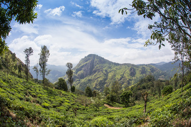 Similar image 8275752