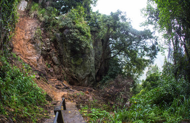 Similar image 8275753