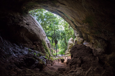 Similar image 8275755