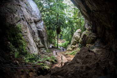 Similar image 8275756