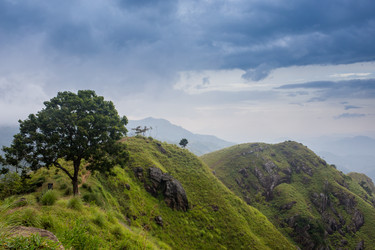 Similar image 8275764