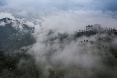 Similar image 8275765