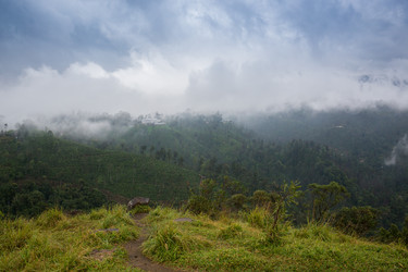 Similar image 8275768