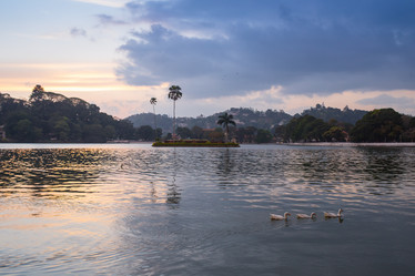 Similar image 8275811