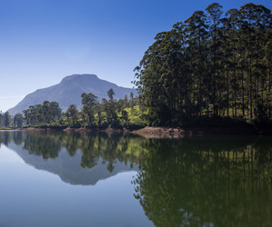 Similar image 8275826