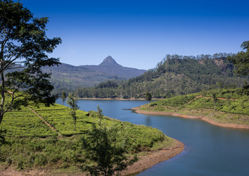 Similar image 8275827