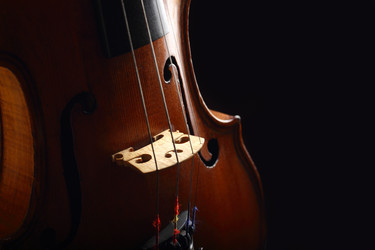 Similar image 8275872