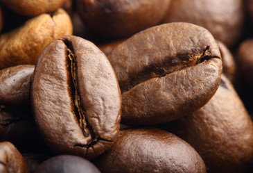 Similar image 8275876