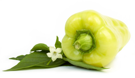 Similar image 8275973