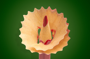 Similar image 8275983