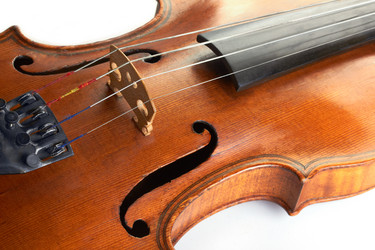 Similar image 8275994