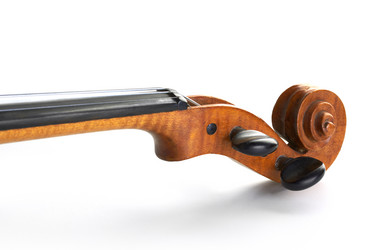 Similar image 8275995