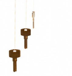 Similar image 8276016