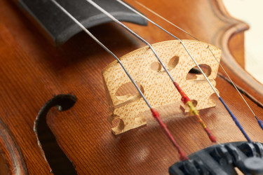 Similar image 8276023