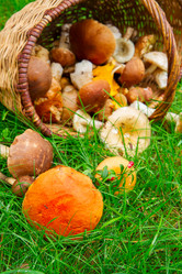 Similar image 8276135