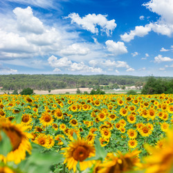 Similar image 8276141